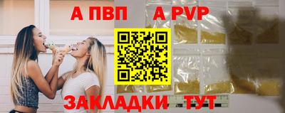 spice Новодвинск