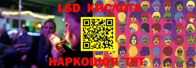 spice Новодвинск
