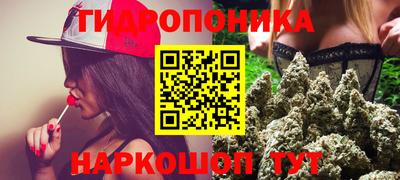 spice Новодвинск