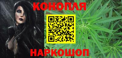 spice Новодвинск