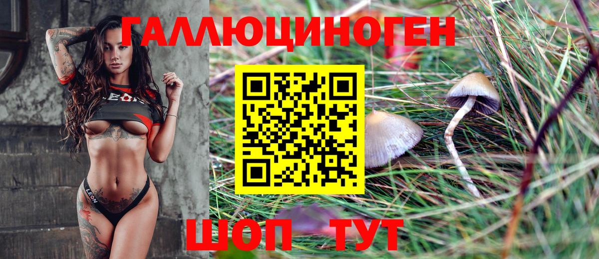 Галлюциногенные грибы Psilocybe Якутск