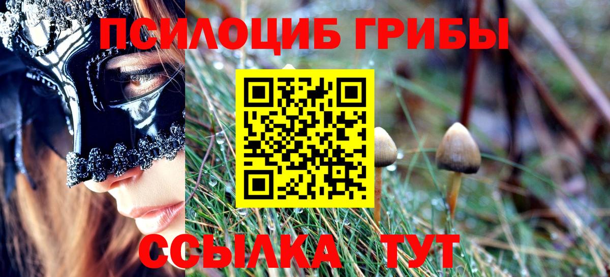 Галлюциногенные грибы GOLDEN TEACHER  Галлюциногенные грибы MAGIC MUSHROOMS  Якутск  купить  цена  Вход с VPN 