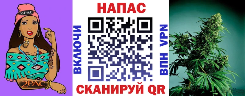 Каннабис MAZAR  где найти   Якутск 